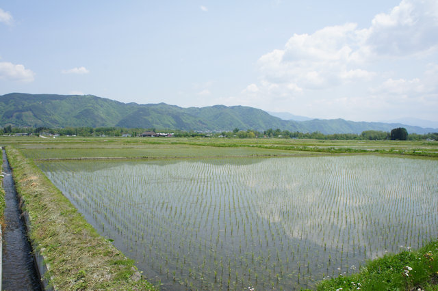 田植え作業終了