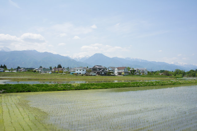 田園風景