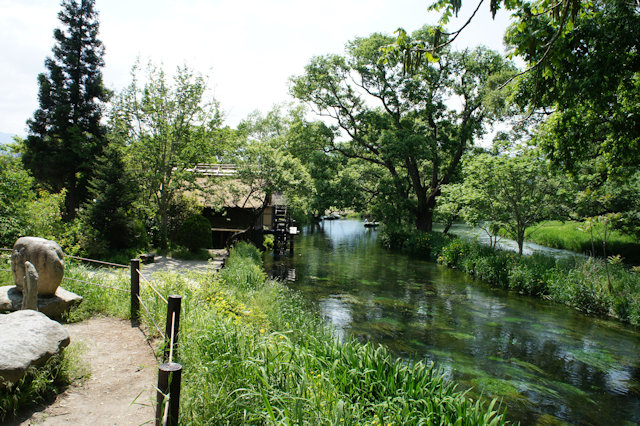 大王わさび農場