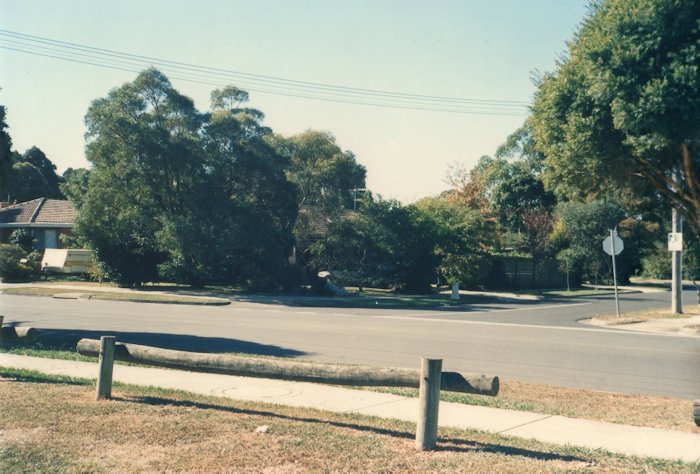グランツリードライブ