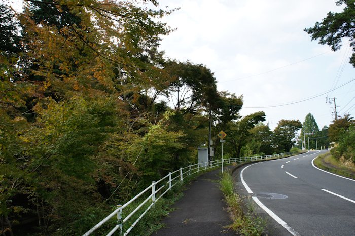 トレッキングコース