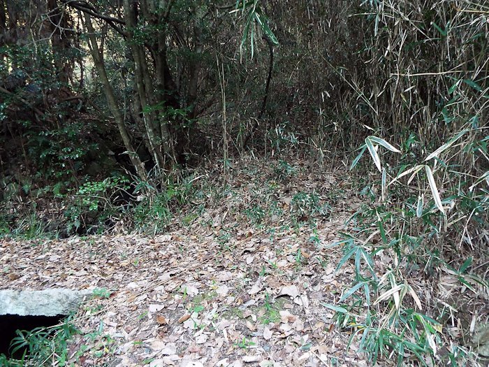 ふるさとウォーク；山の田んぼに行く道は行き止まりでした