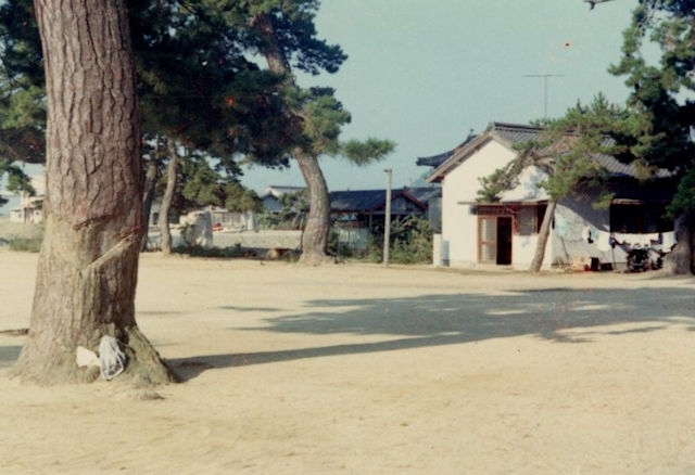 夏休み海浜キャンプ場