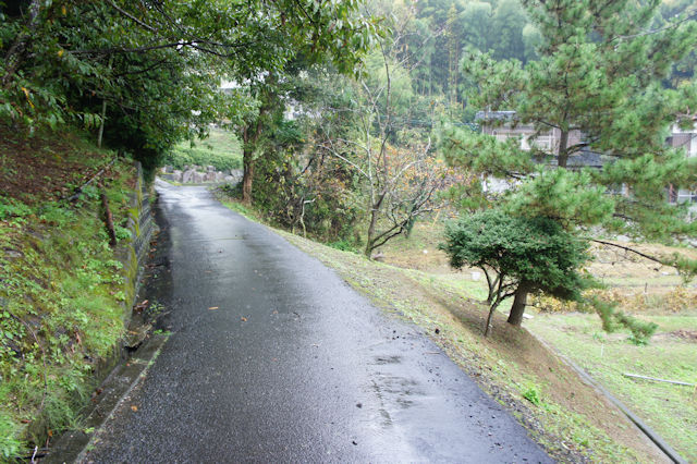 舗装された立派な散歩道