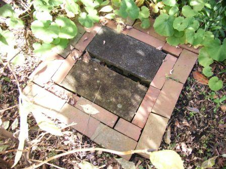 雨水マスをレンガで土留め