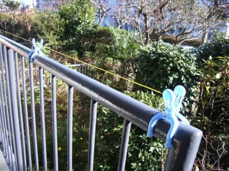 防鳥用の糸設置