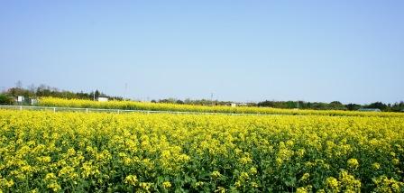 PDF電気メーター検針値