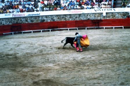 アカプルコ闘牛