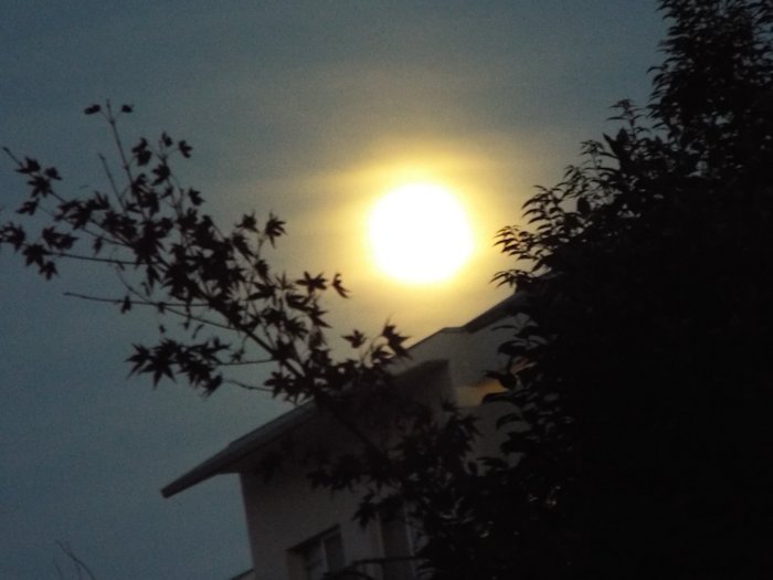 スーパームーン1