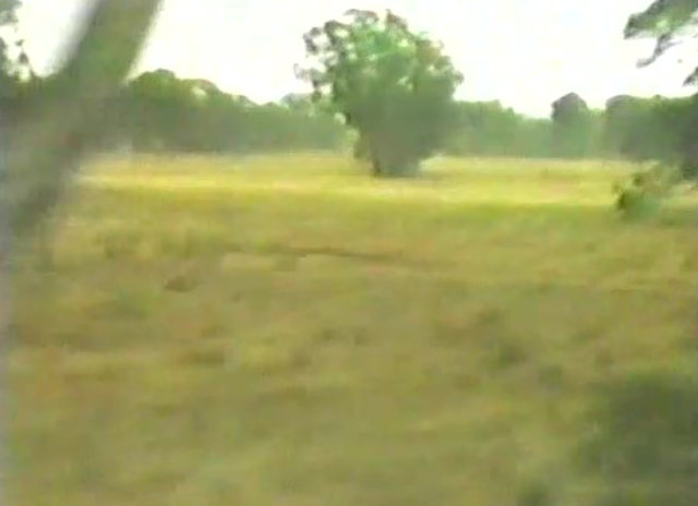 シドニー・メルボルン列車車窓