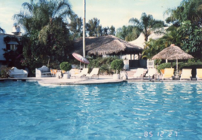 リゾート地ホテルのプール