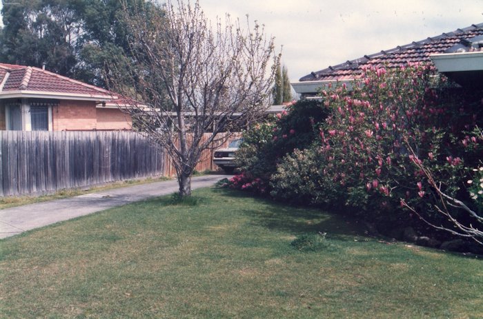 引っ越て来た我が家です