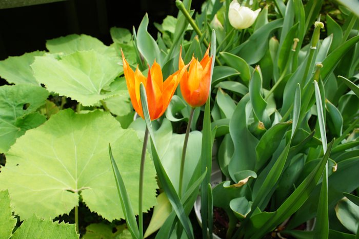 相棒ができてうれしい