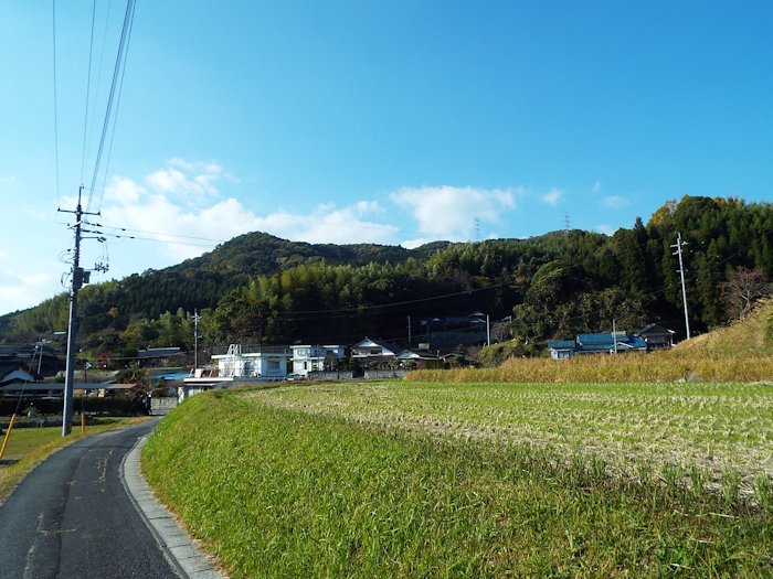 山の田んぼに行く道1