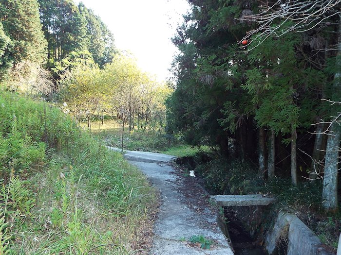 山の田んぼに行く道（帰り道4）