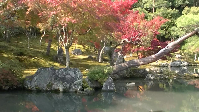 天龍寺境内の庭園風景1