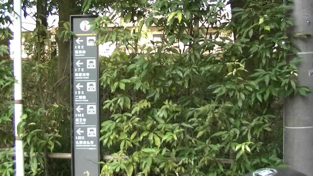 竹林の小径を散策しました6