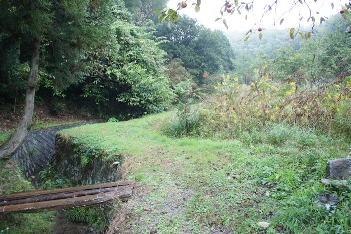 山の田んぼ追想1