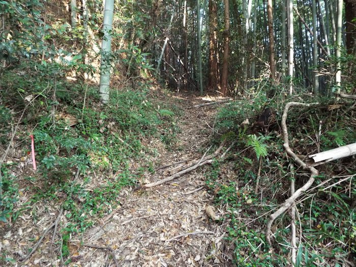 山の田んぼ奥に行く道