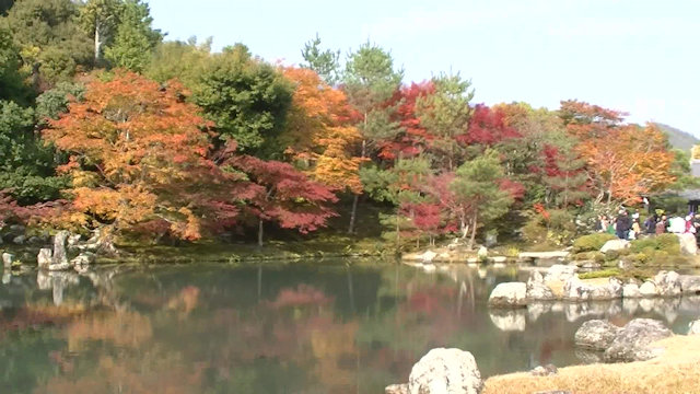 動画から静止画を取得する