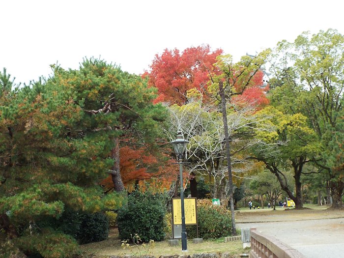 とさでん高知城前下車からアクセス