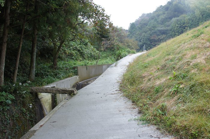 山の田んぼに行く道2