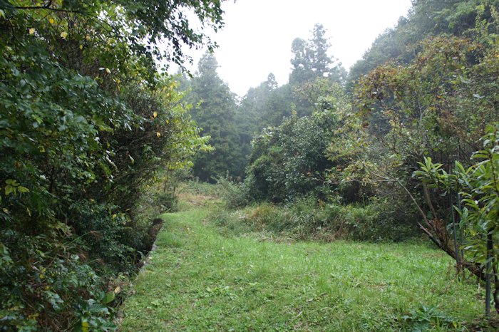 山の田んぼに行く道1