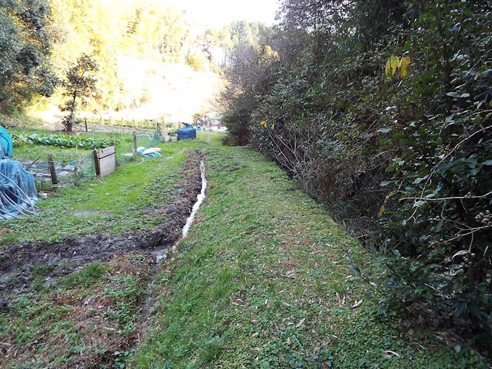 山の田んぼに行く道（帰り道1）