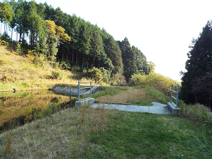山の田んぼに行く道（帰り道3）