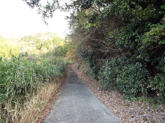 山の田んぼに行く道（別ルート2）