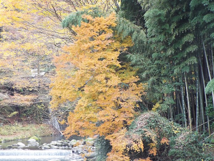 ホテルの周辺で