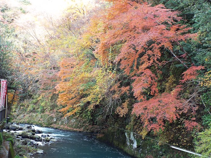 早川の橋近傍で撮影１