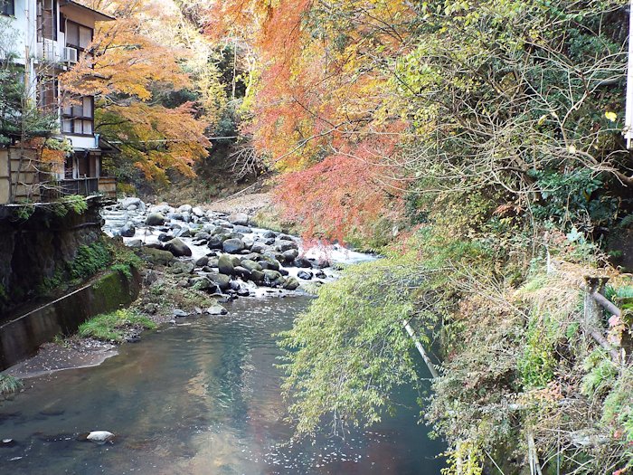 早川の橋近傍で撮影２