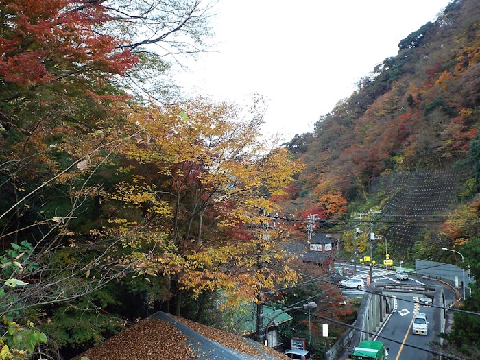 塔ノ沢駅入り口近傍