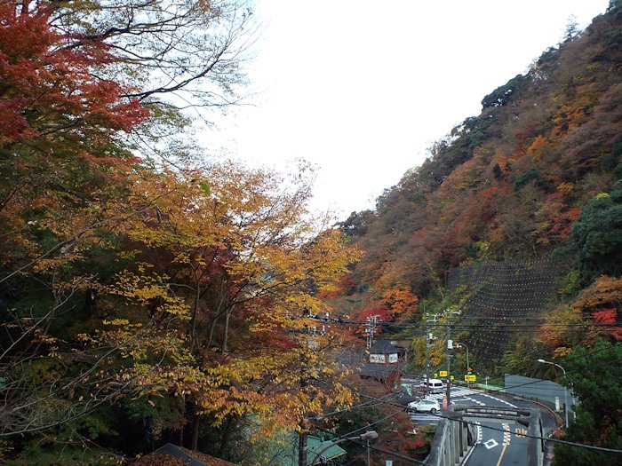 道路が見える方向で撮影