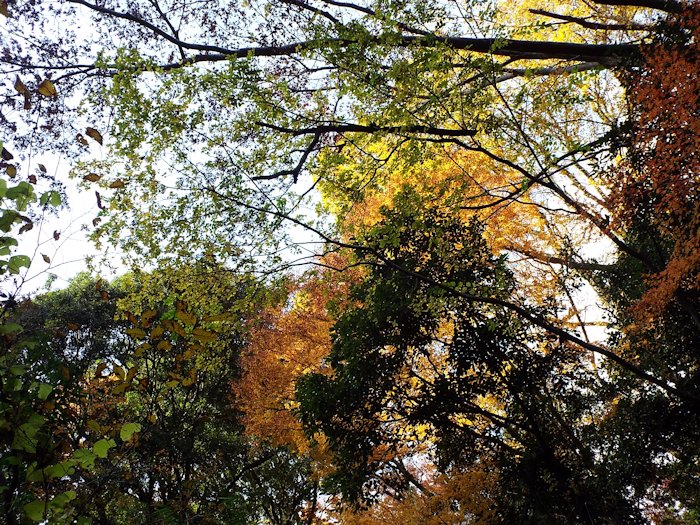 最初のヘアピンカーブまでで撮影