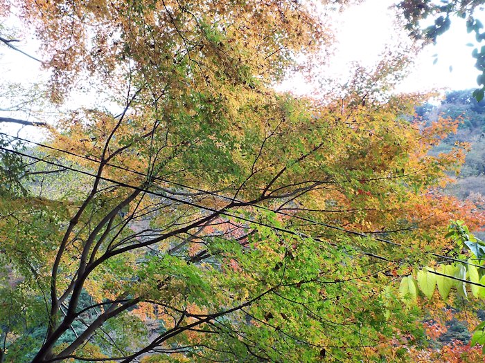 最初のヘアピンカーブに差し掛かった所１