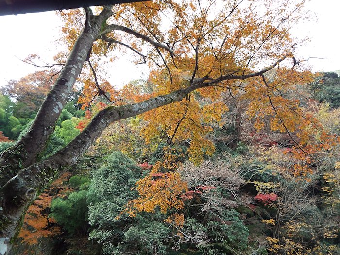 ホテルのロビーから