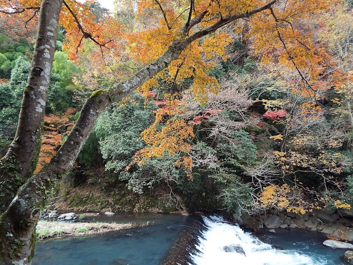 ホテルのロビーから